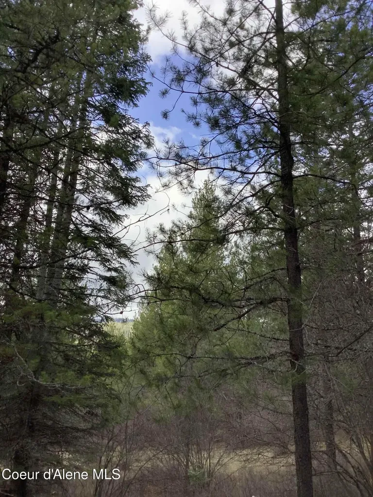 6450 Alder Creek Road St. Maries ID 83861