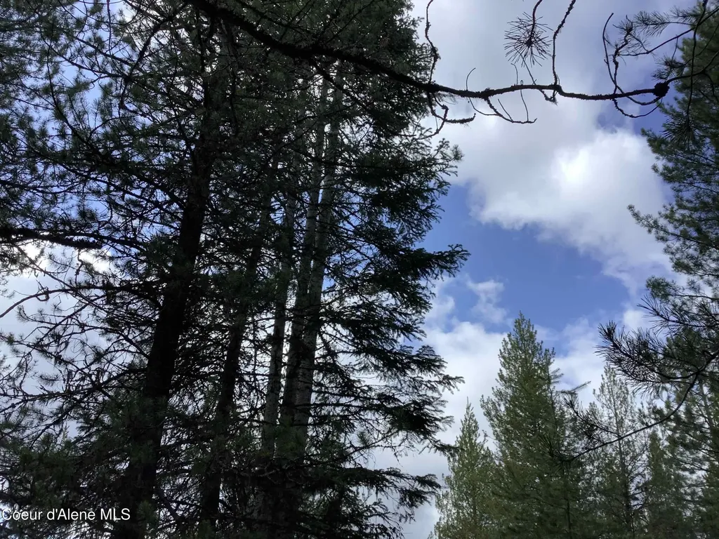 6450 Alder Creek Road St. Maries ID 83861