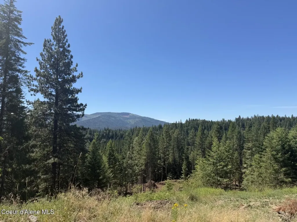 560 Terry Trail Priest River ID 83856