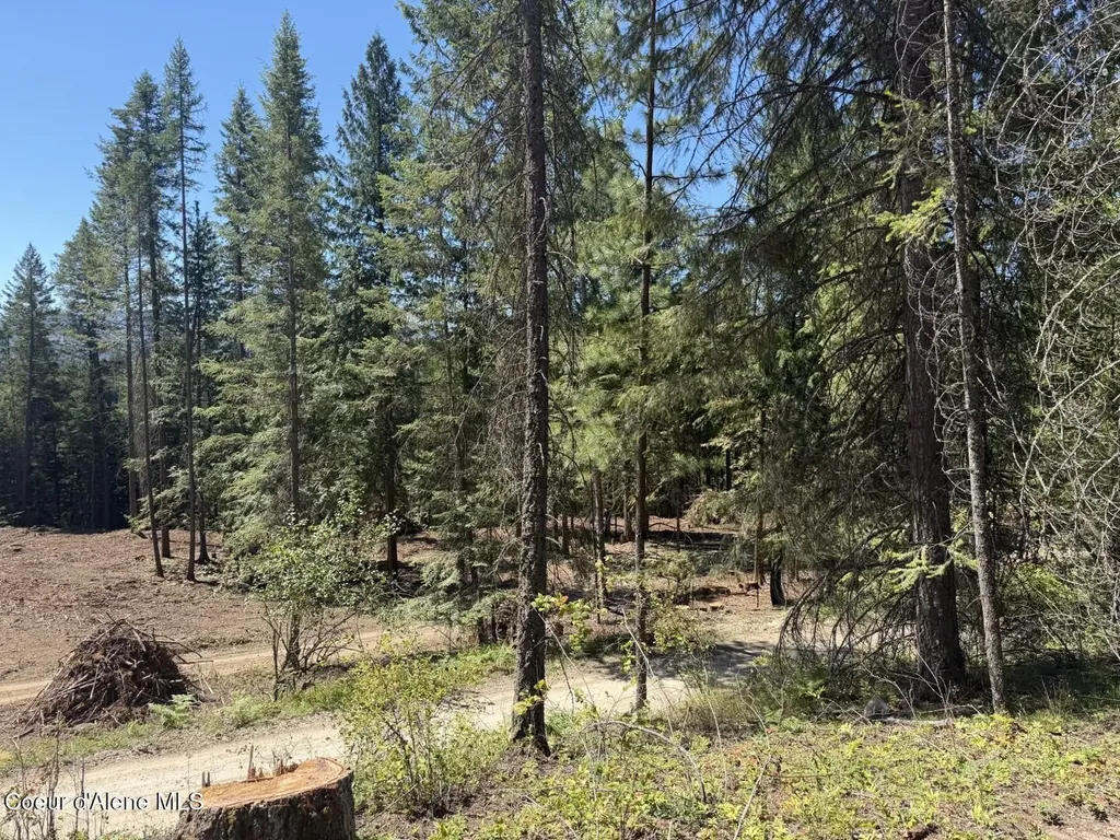 560 Terry Trail Priest River ID 83856