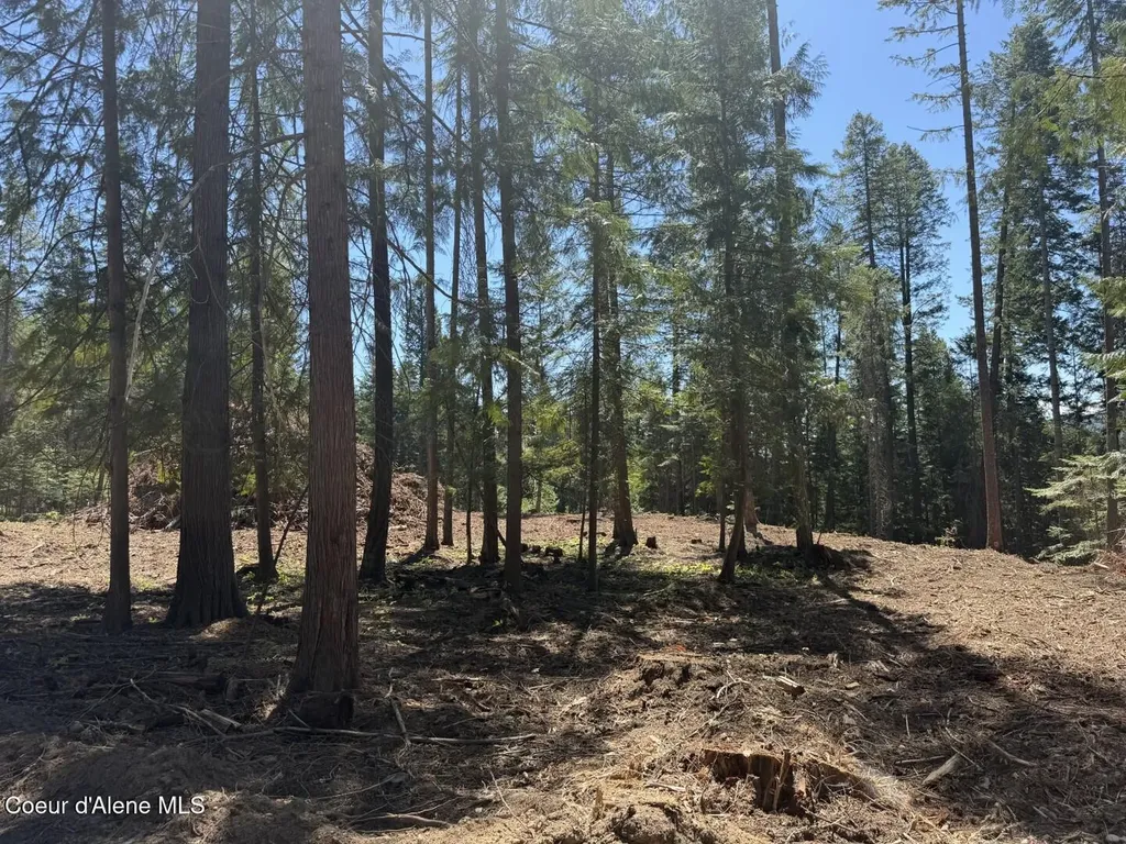560 Terry Trail Priest River ID 83856