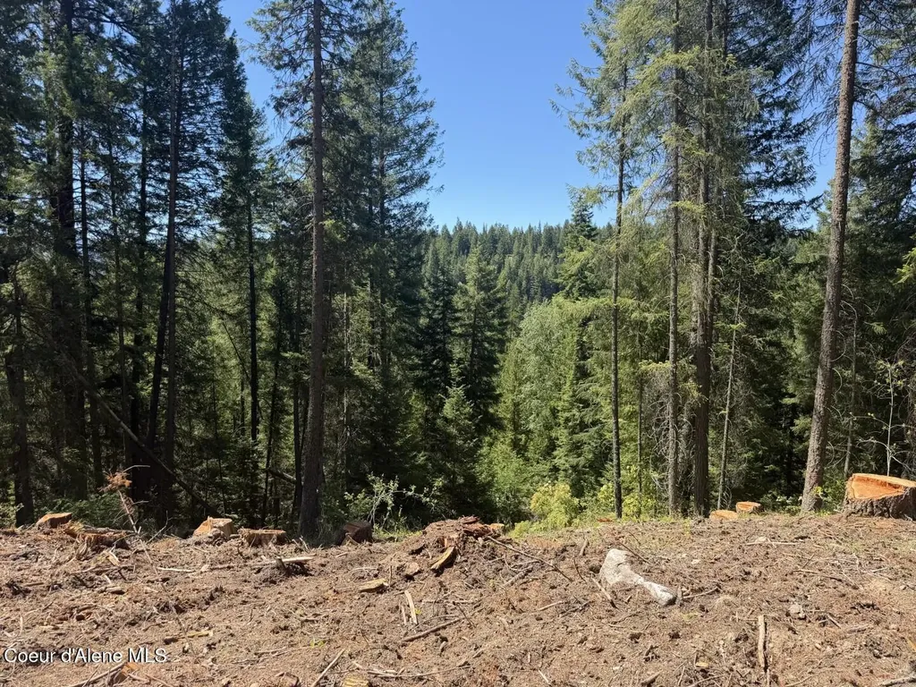 560 Terry Trail Priest River ID 83856