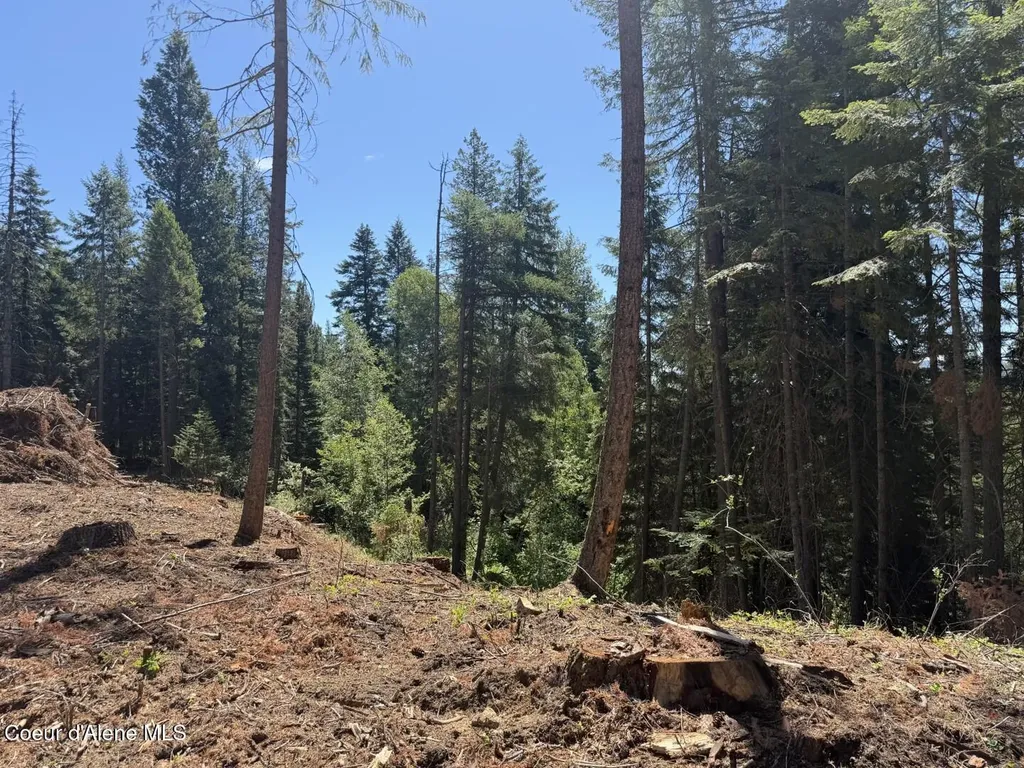560 Terry Trail Priest River ID 83856