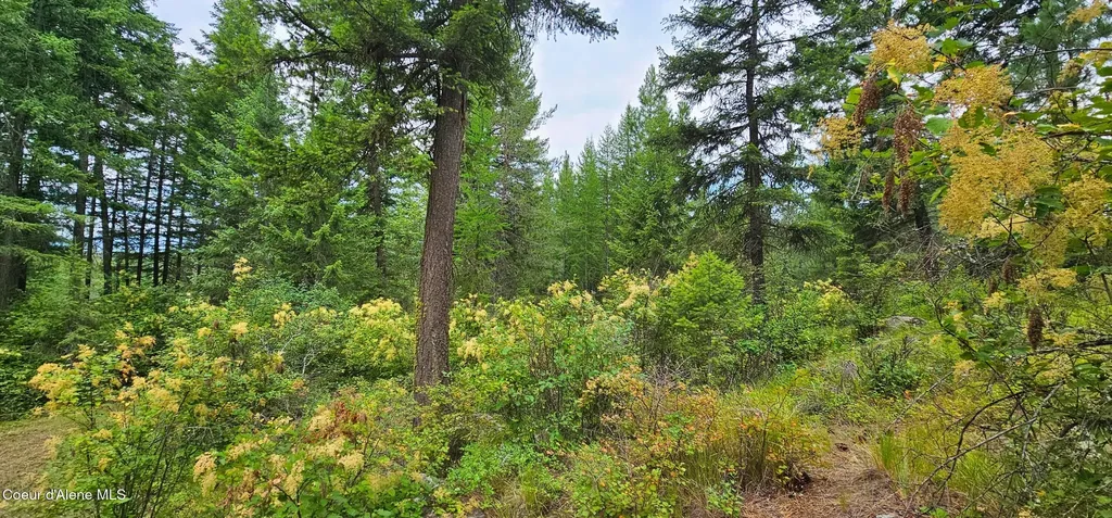 1754 Giles Connection Road Bonners Ferry ID 83805