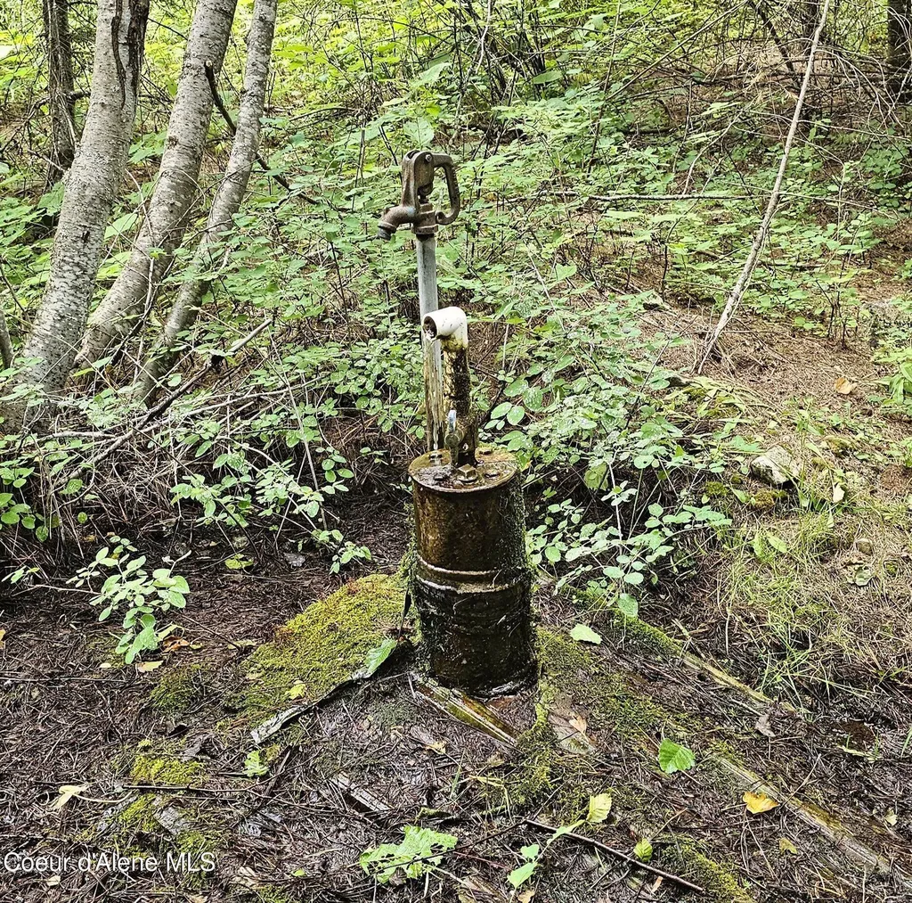 1754 Giles Connection Road Bonners Ferry ID 83805