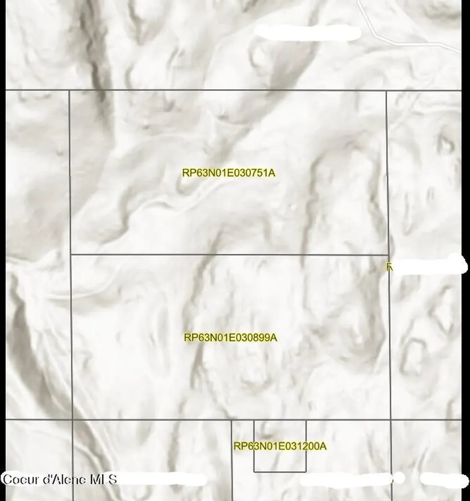 1754 Giles Connection Road Bonners Ferry ID 83805