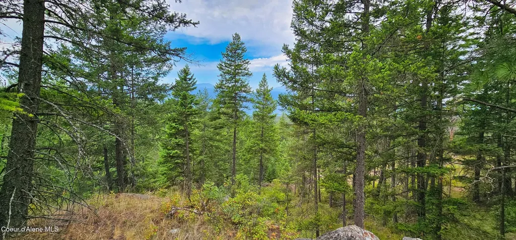 1754 Giles Connection Road Bonners Ferry ID 83805
