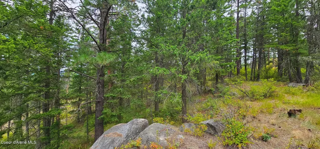 1754 Giles Connection Road Bonners Ferry ID 83805