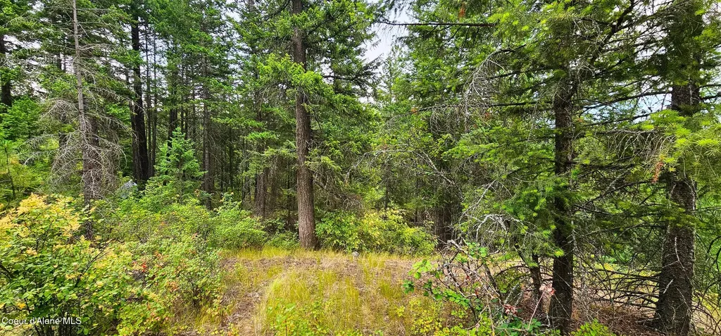 1754 Giles Connection Road Bonners Ferry ID 83805