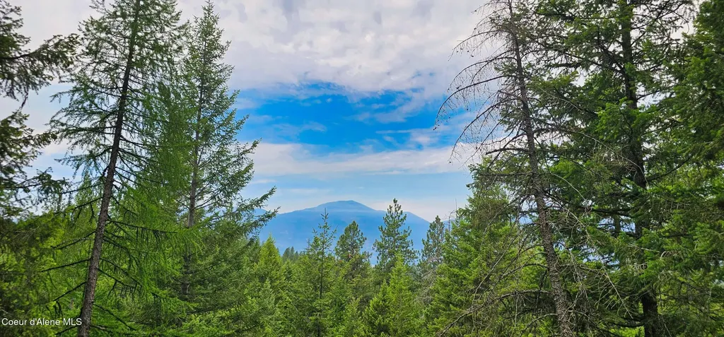 1754 Giles Connection Road Bonners Ferry ID 83805