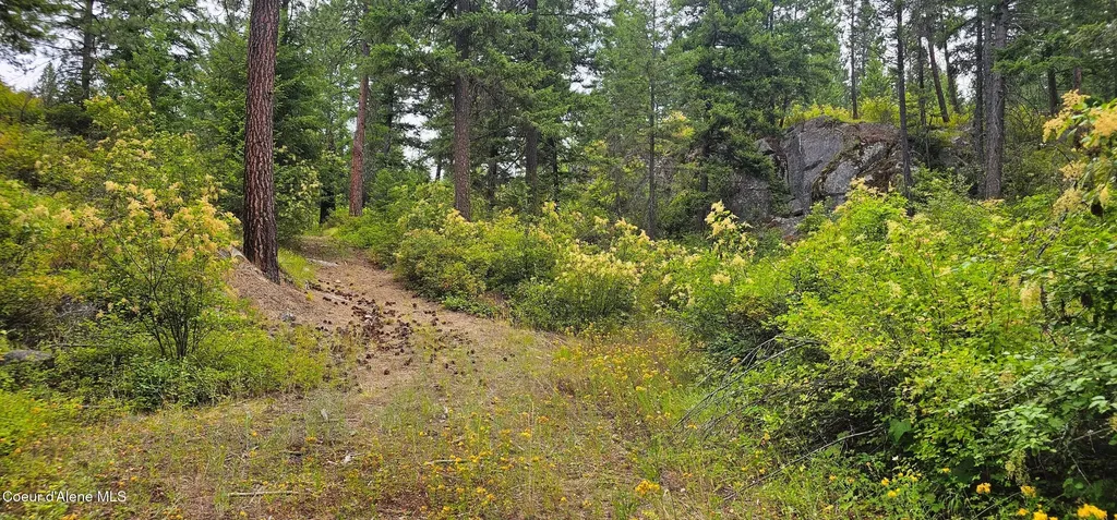 1754 Giles Connection Road Bonners Ferry ID 83805