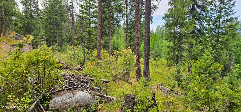 1754 Giles Connection Road Bonners Ferry ID 83805