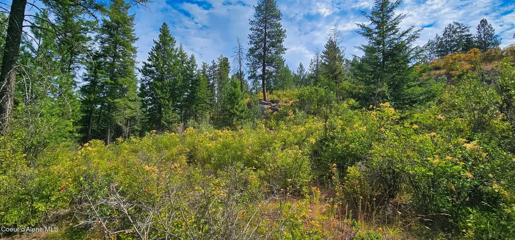 1754 Giles Connection Road Bonners Ferry ID 83805