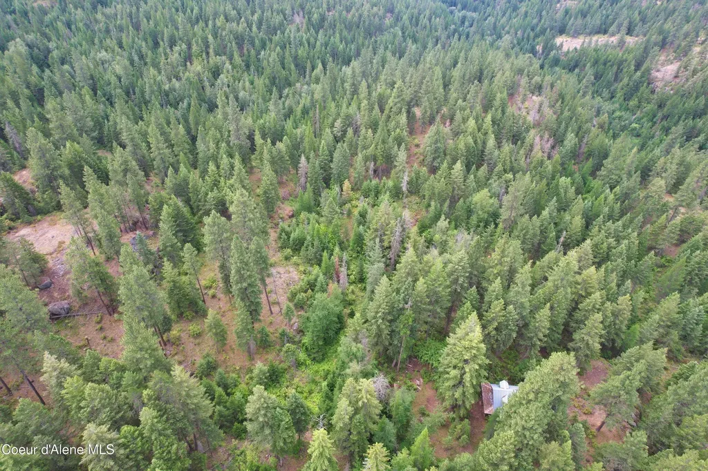 1754 Giles Connection Road Bonners Ferry ID 83805