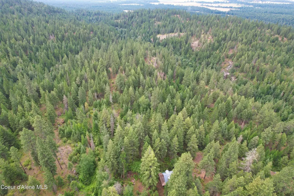 1754 Giles Connection Road Bonners Ferry ID 83805