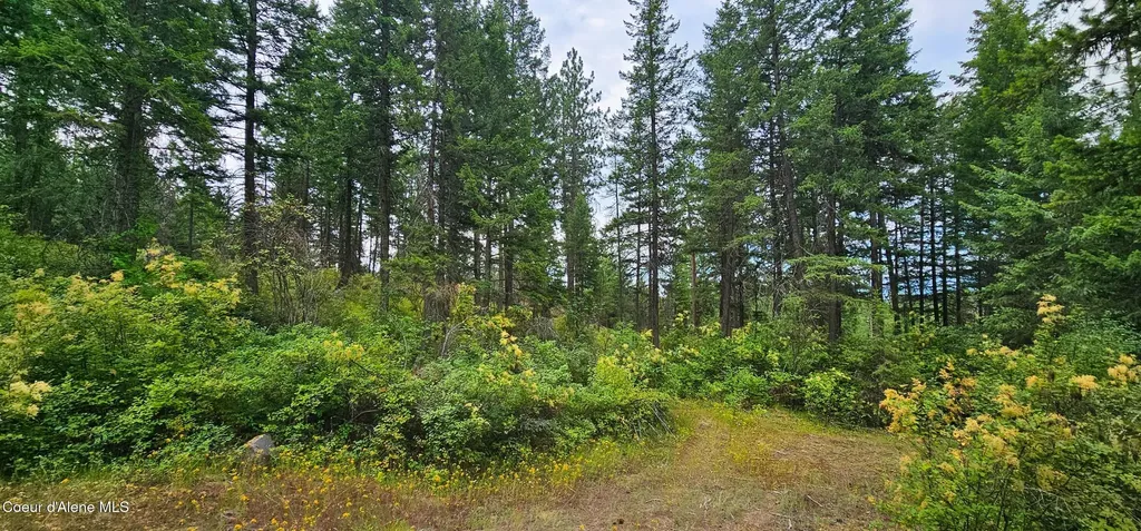 1754 Giles Connection Road Bonners Ferry ID 83805