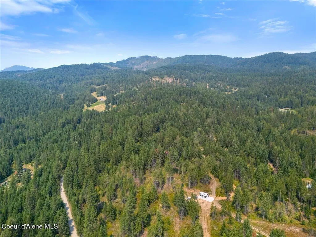 1040 Salee Creek Road Athol ID 83801