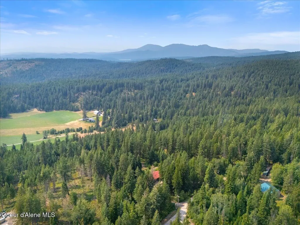 1040 Salee Creek Road Athol ID 83801