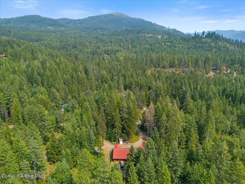1040 Salee Creek Road Athol ID 83801
