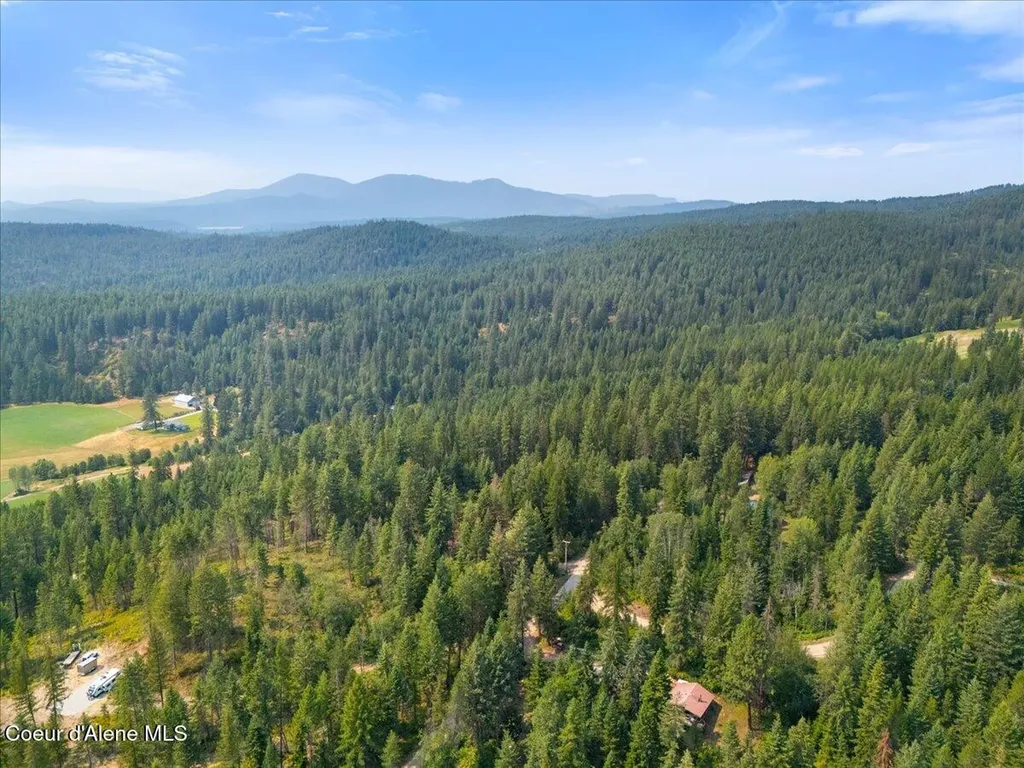 1040 Salee Creek Road Athol ID 83801