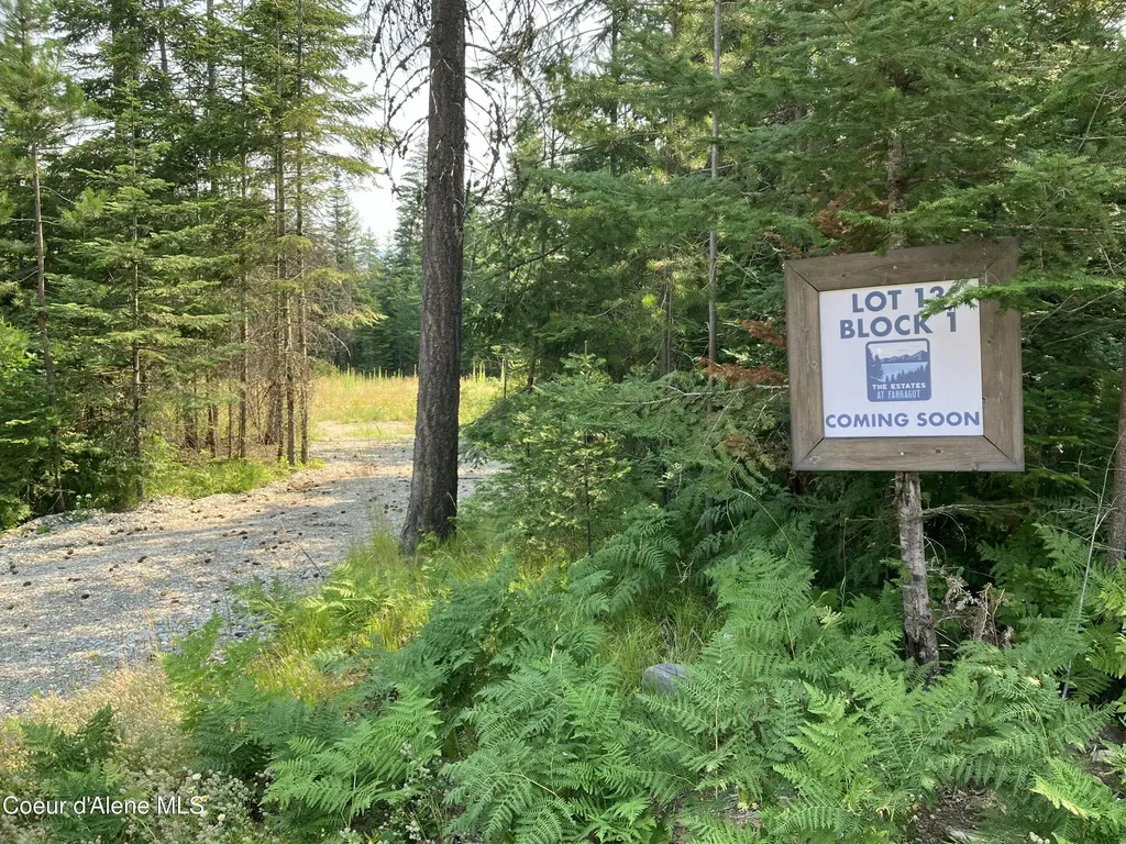 LT13B1 Leonard Lp Athol ID 83801