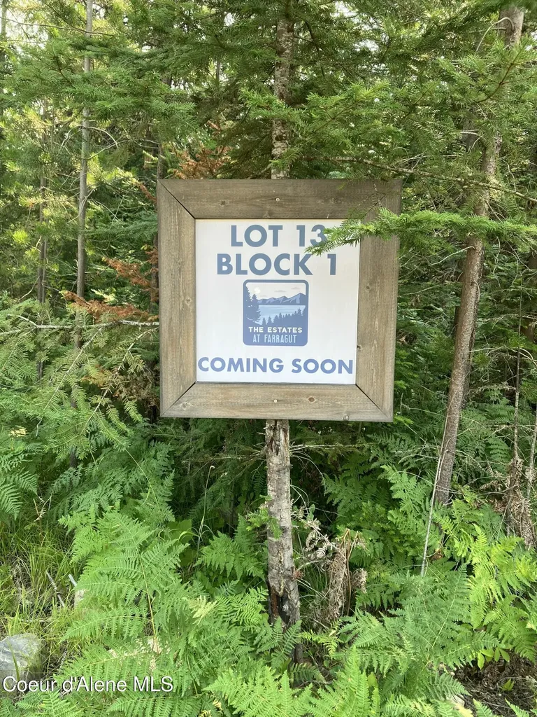 LT13B1 Leonard Lp Athol ID 83801