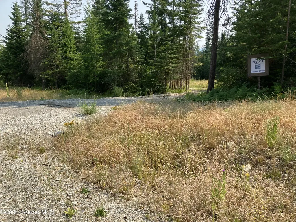 LT13B1 Leonard Lp Athol ID 83801