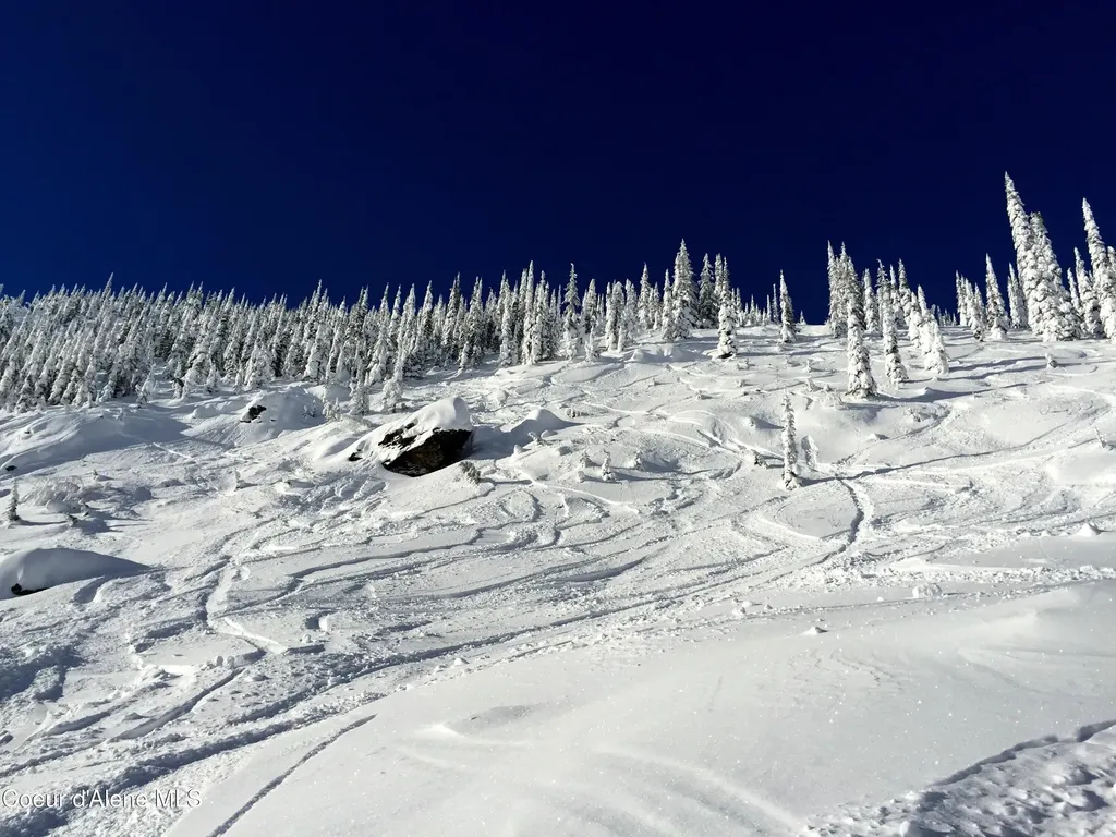Lot 11a Avalanche Road Sandpoint ID 83864