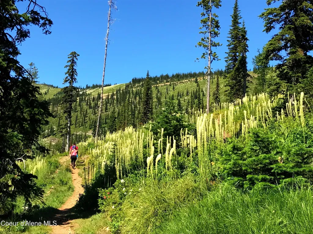 Lot 11a Avalanche Road Sandpoint ID 83864