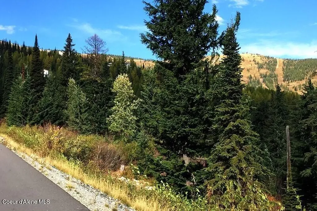 Lot 11a Avalanche Road Sandpoint ID 83864
