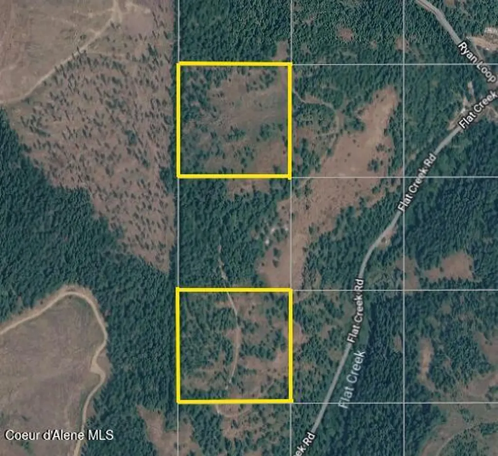 Lots 2 & 3 Flat Creek Road St. Maries ID 83861