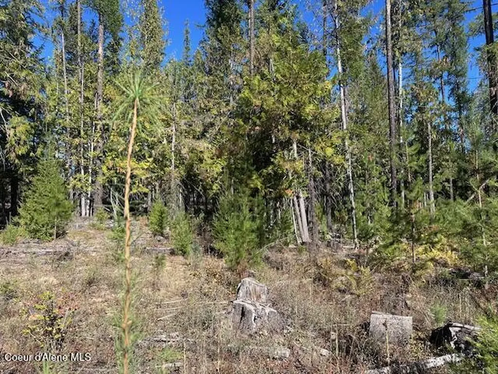 Lots 2 & 3 Flat Creek Road St. Maries ID 83861