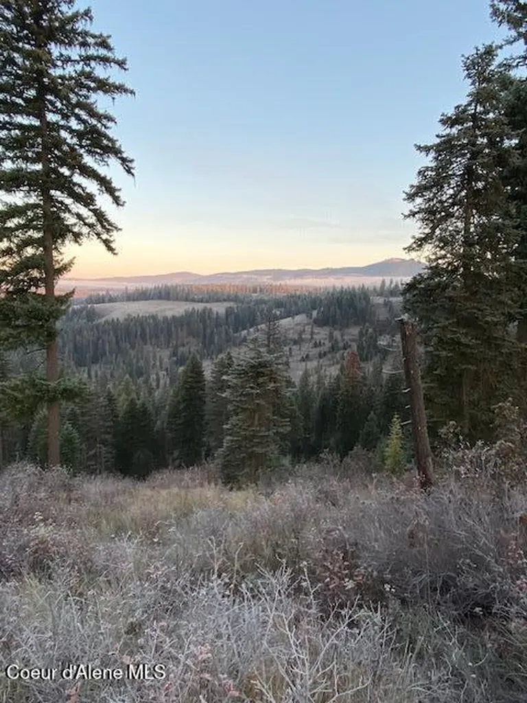Lot 3 Flat Creek Road St. Maries ID 83861