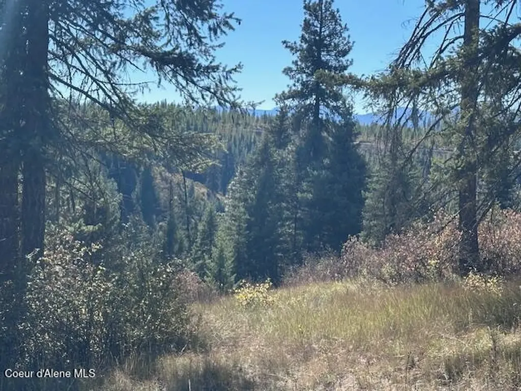 Lot 3 Flat Creek Road St. Maries ID 83861