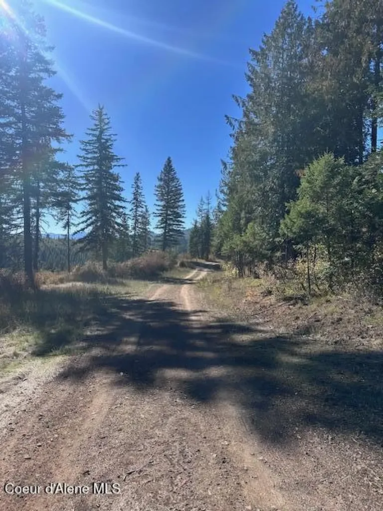 Lot 3 Flat Creek Road St. Maries ID 83861