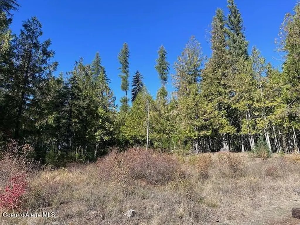 Lot 3 Flat Creek Road St. Maries ID 83861