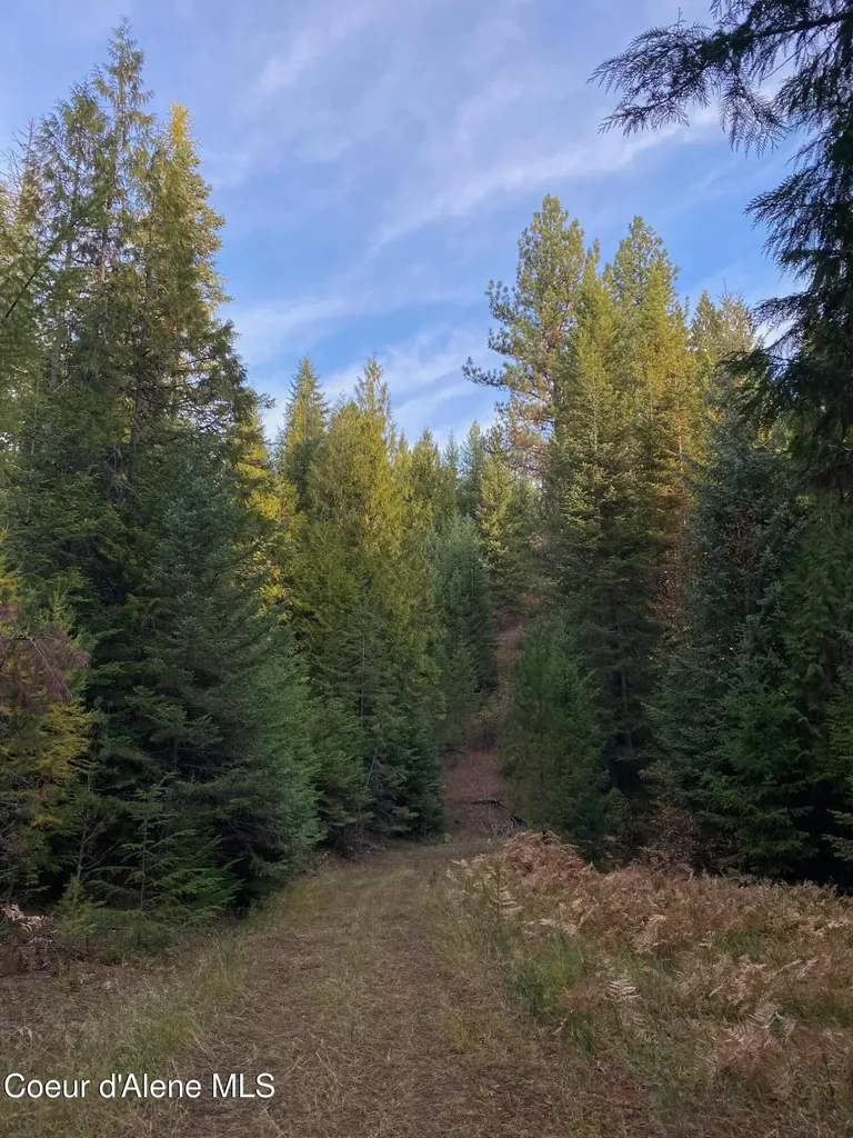 Lot 3 Flat Creek Road St. Maries ID 83861