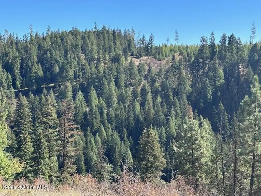 Lot 3 Flat Creek Road St. Maries ID 83861