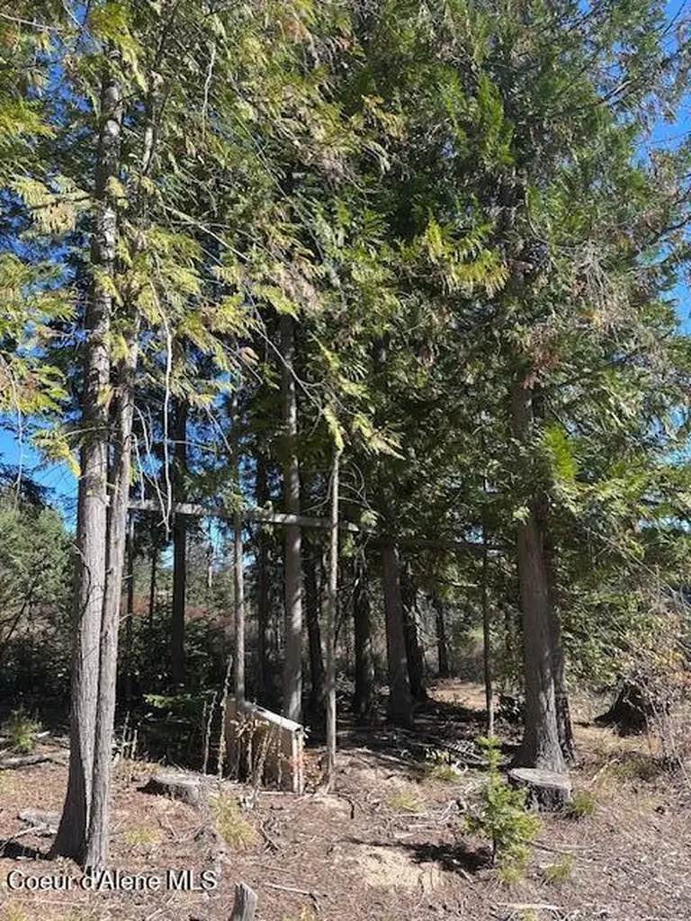 Lot 3 Flat Creek Road St. Maries ID 83861