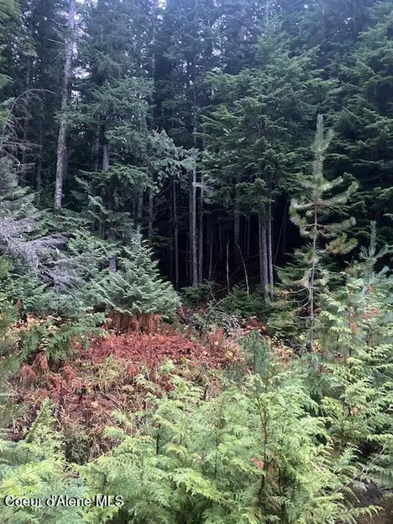 Lot 3 Flat Creek Road St. Maries ID 83861