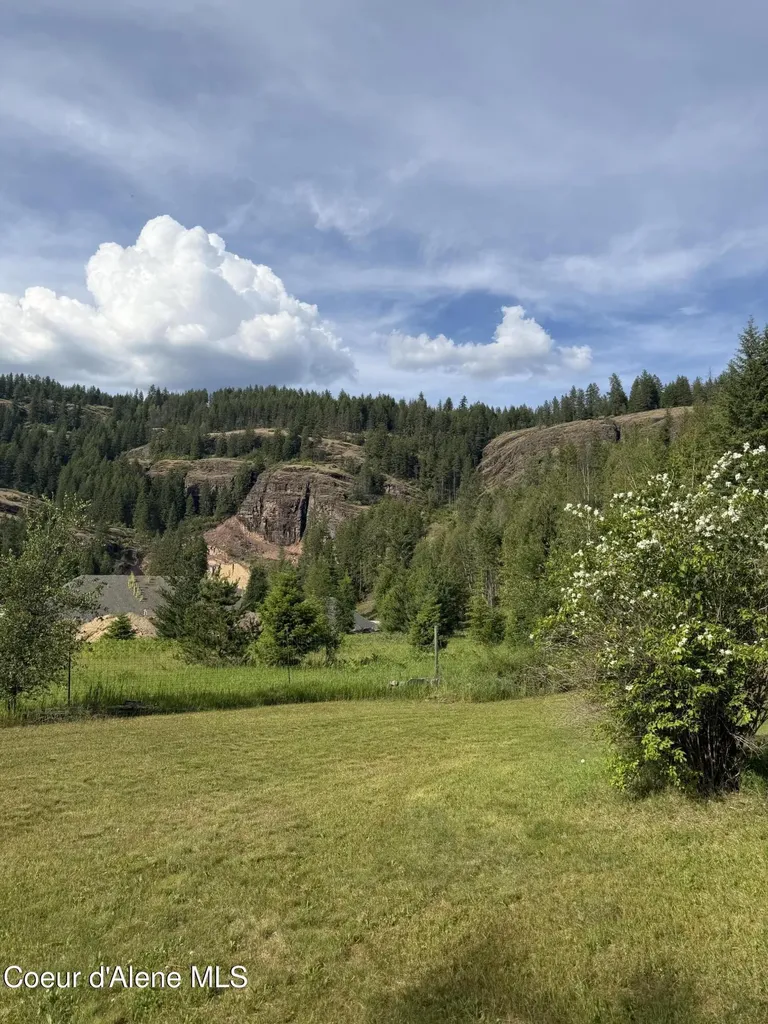 113 Bear Hill Road Clark Fork ID 83811