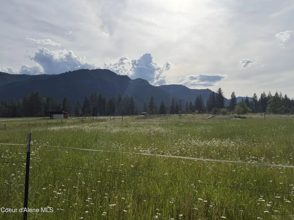 113 Bear Hill Road Clark Fork ID 83811