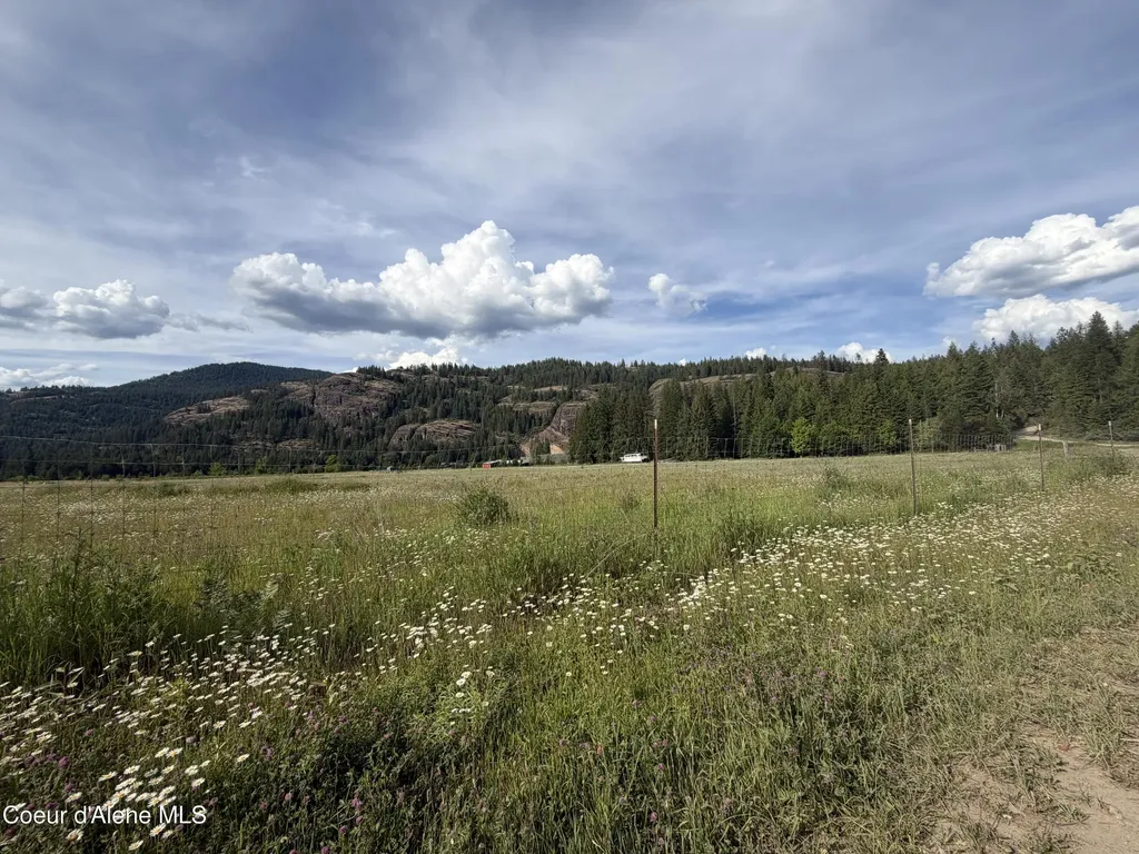 113 Bear Hill Road Clark Fork ID 83811