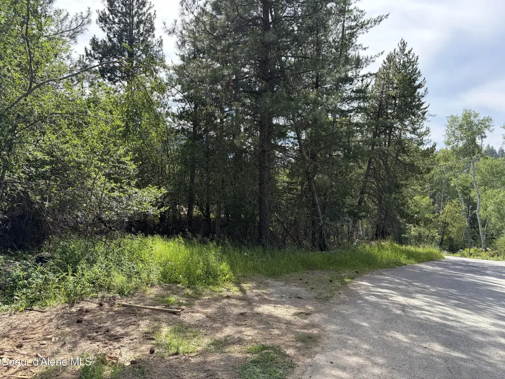 Lot 2 Nka Upper Drive Osburn ID 83849