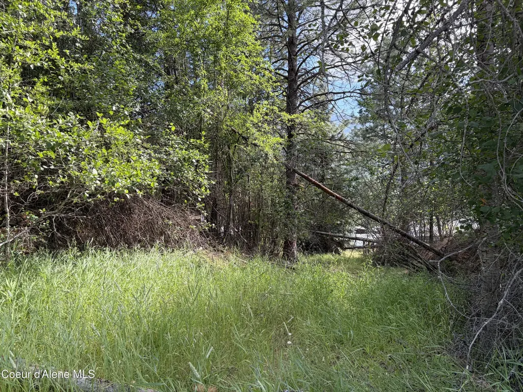 Lot 2 Nka Upper Drive Osburn ID 83849