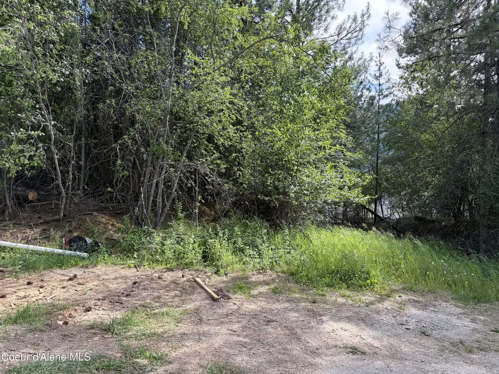Lot 2 Nka Upper Drive Osburn ID 83849
