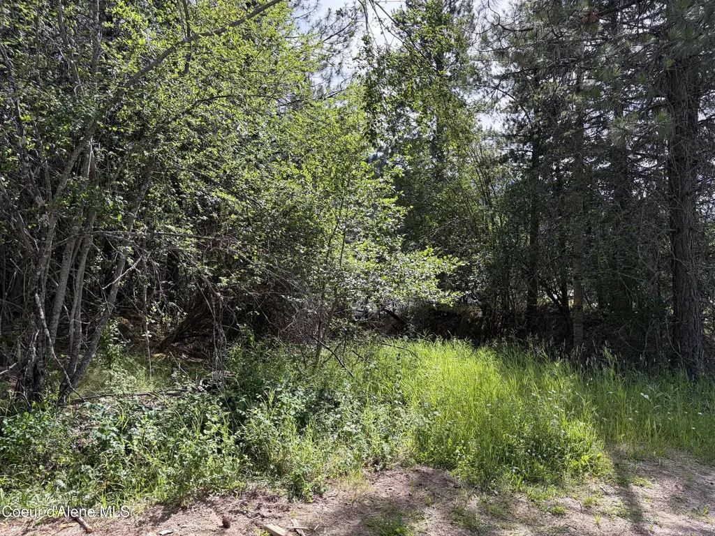 Lot 1 Nka Upper Drive Osburn ID 83849
