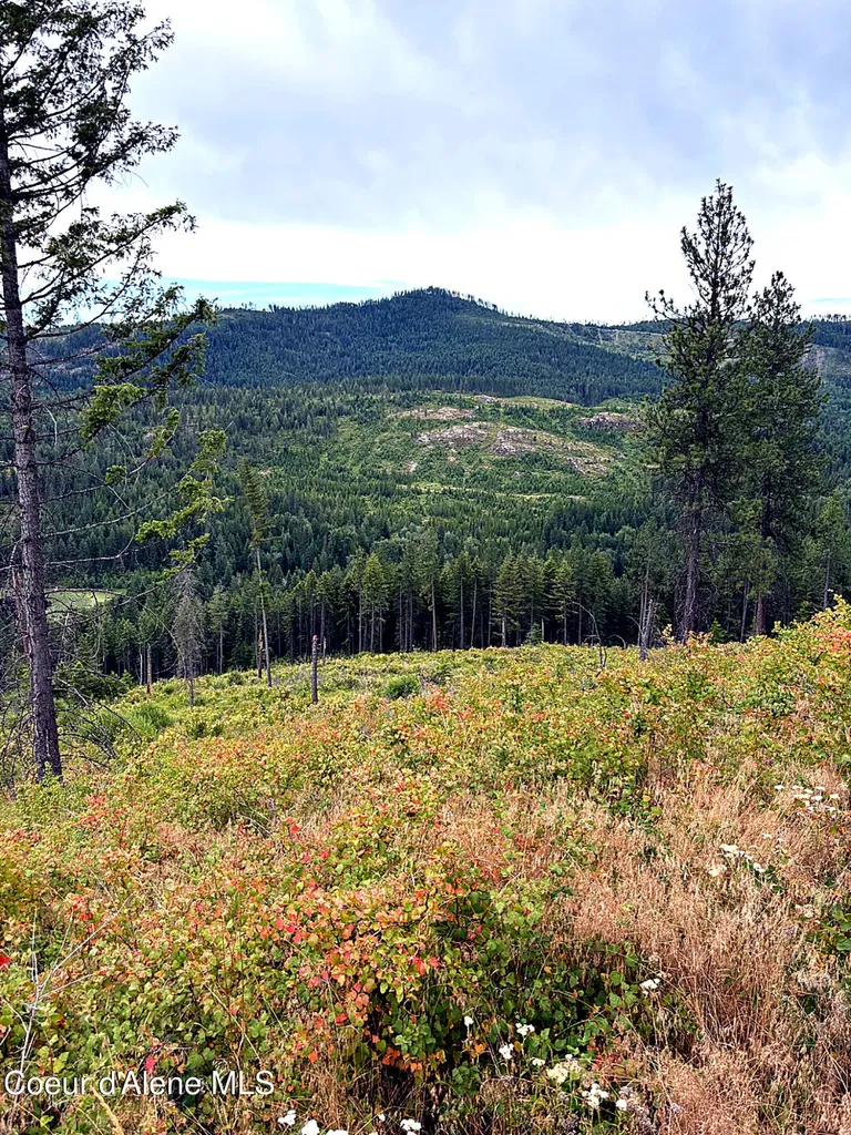 Lot 4 Dollar Creek Drive Sagle ID 83860