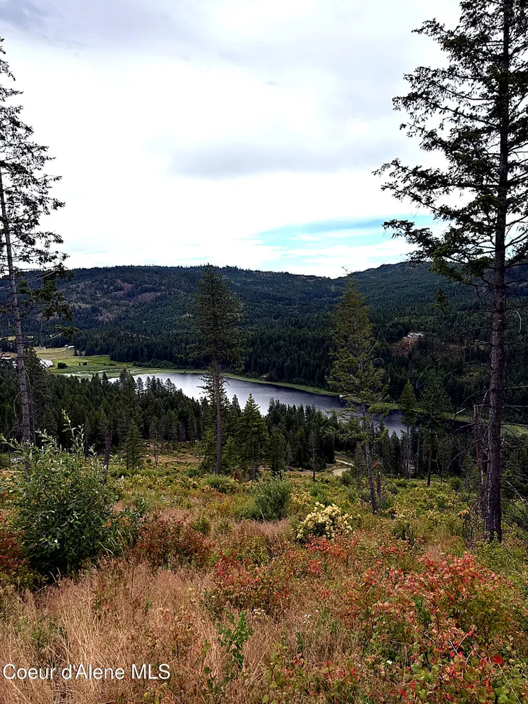 Lot 4 Dollar Creek Drive Sagle ID 83860