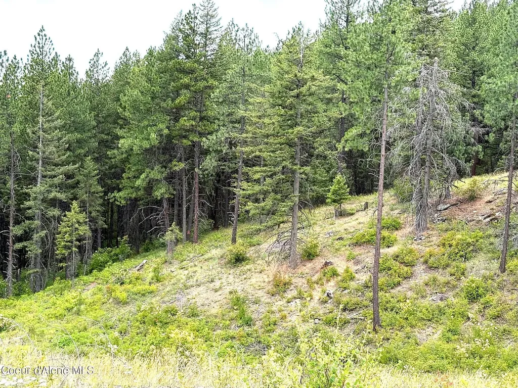 Lot 4 Dollar Creek Drive Sagle ID 83860